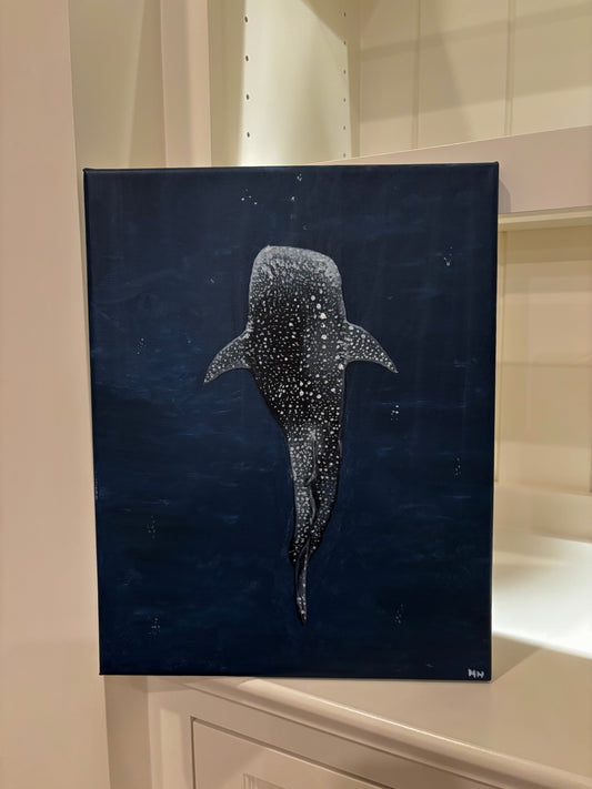 Midnight Shark 14x11